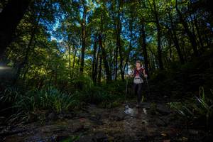 BIB: 
                            <button type="button" onclick="openModal(19241117)" class="btn btn-primary btn-sm float-right btn-popup" data-toggle="modal" data-target=".modal-high-quality">
                        <i class="fas fa-shopping-cart"></i> Add to Cart
                    </button>
                                            <button type="button" onclick="isThisMe(19241117, true)" class="btn btn-success btn-sm float-right btn-popup btn-isme hidden" data-toggle="tooltip" data-placement="bottom" title="นี่คือรูปของคุณใช่ไหม คลิกที่นี่เพื่อเอาเข้าอัลบั้ม">
                        <i class="fas fa-plus"></i> Add to album
                    </button>
                    <button type="button" onclick="isThisMe(19241117, false)" class="btn btn-warning btn-sm float-right btn-popup btn-isnotme hidden">
                        <i class="fas fa-ban"></i> Remove from album
                    </button>